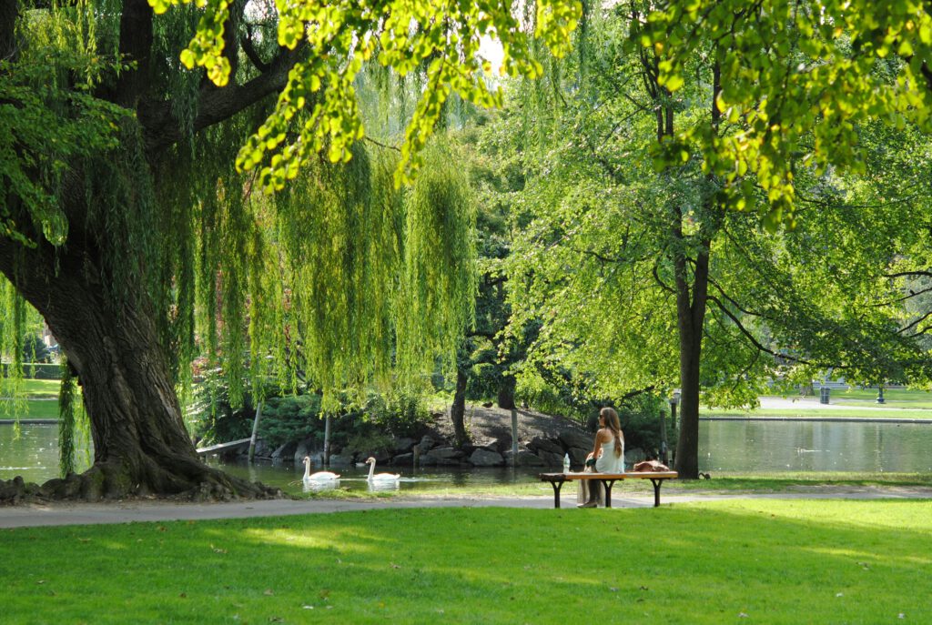 Una persona en un parque disfrutando de la naturaleza como representación de que los autistas tenemos otra forma de socializar