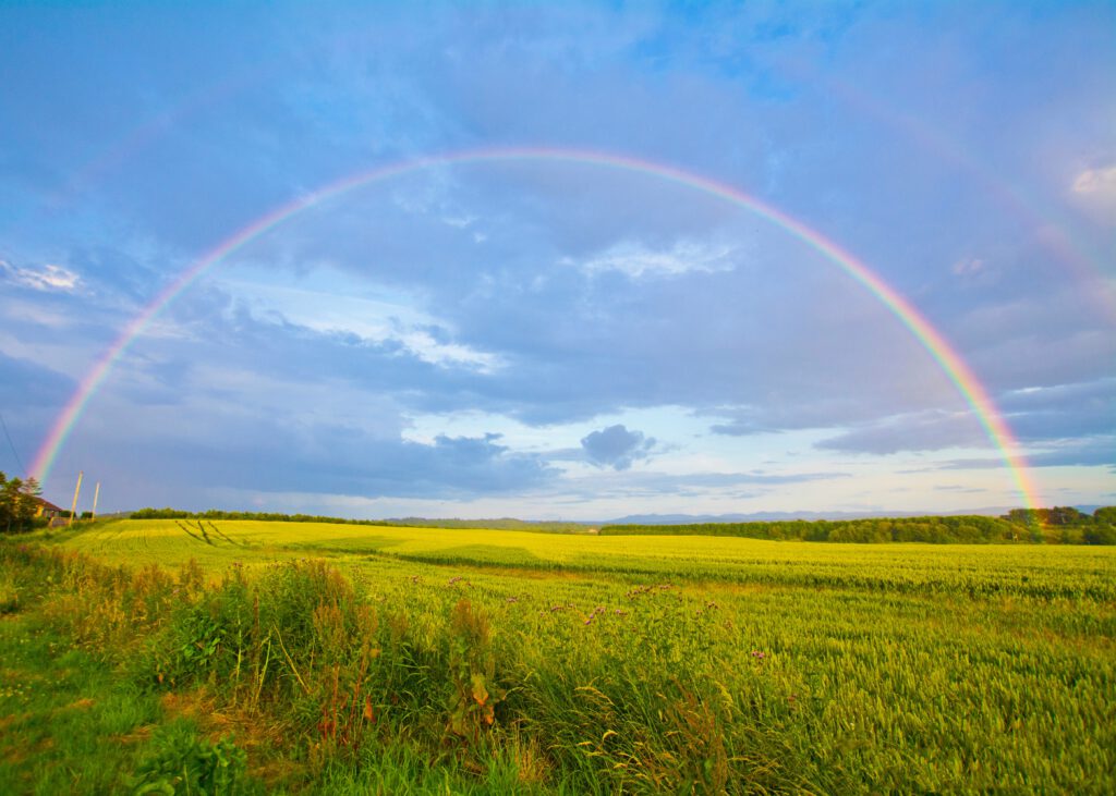Un arcoíris en un campo verde que refleja el espectro del autismo