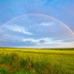 Un arcoíris en un campo verde que refleja el espectro del autismo