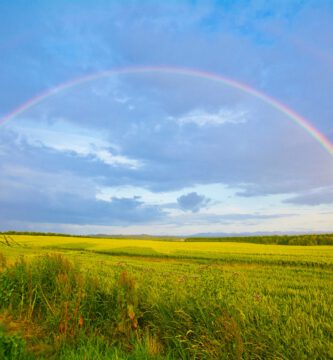 Un arcoíris en un campo verde que refleja el espectro del autismo