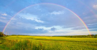 Un arcoíris en un campo verde que refleja el espectro del autismo
